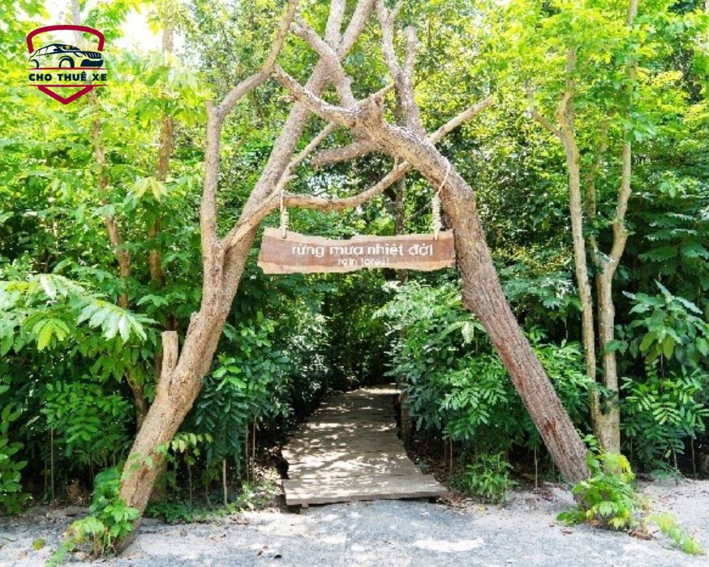 Đường mòn lát gỗ nhỏ dẫn sâu vào bên trong khu rừng nguyên sinh rậm rạp với đủ loại cây cối xanh tươi tại Bình Châu - Phước Bửu
