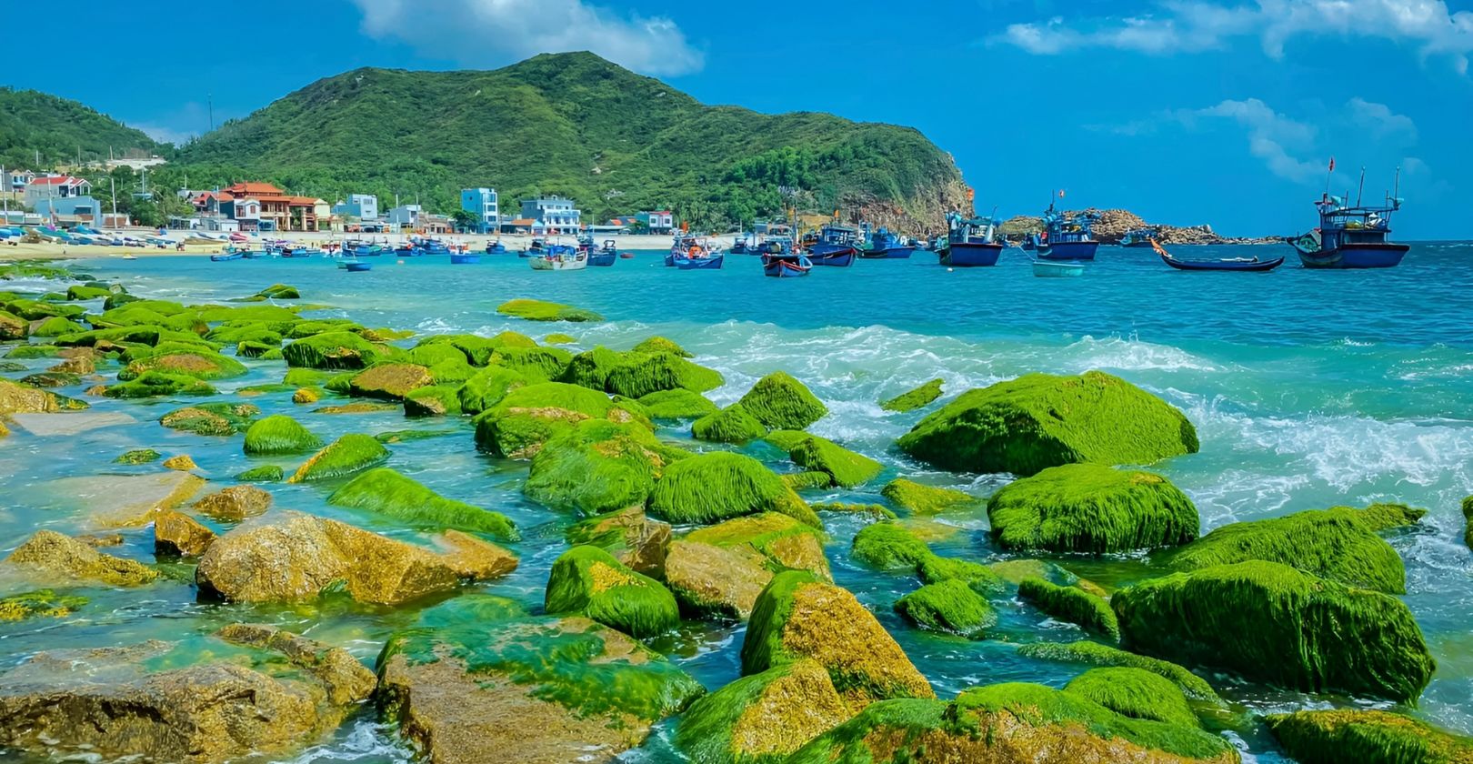 Bãi đá Nhơn Hải thu hút đông đảo khách du lịch