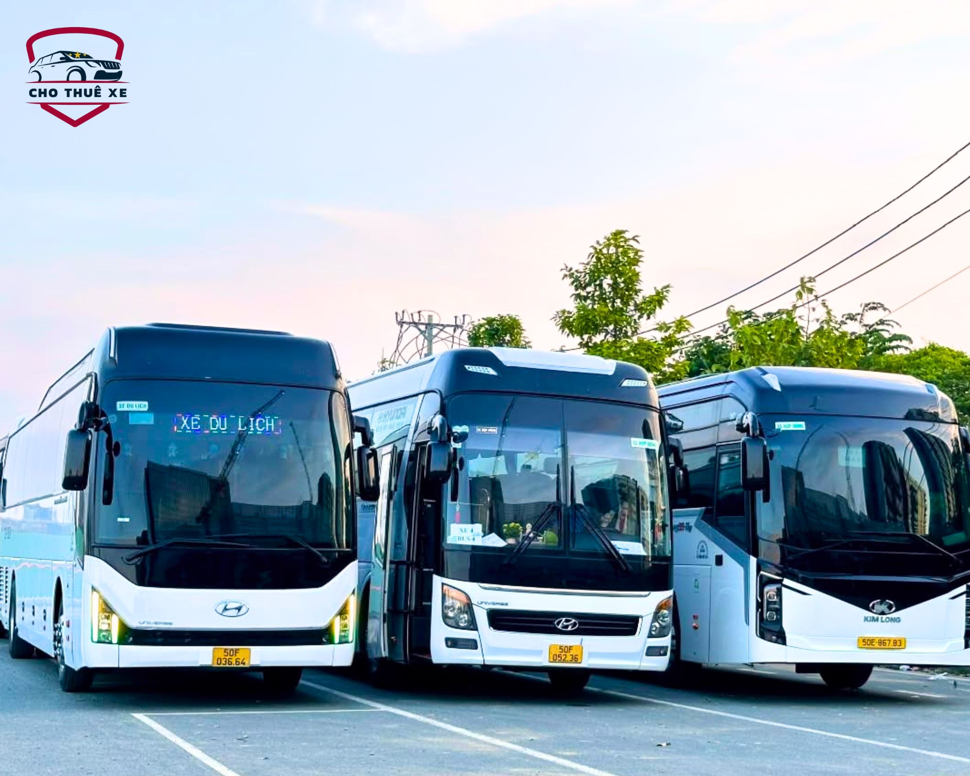 Dàn xe 45 chỗ đa dạng phục vụ dịch vụ cho thuê xe tài xế nói tiếng Anh