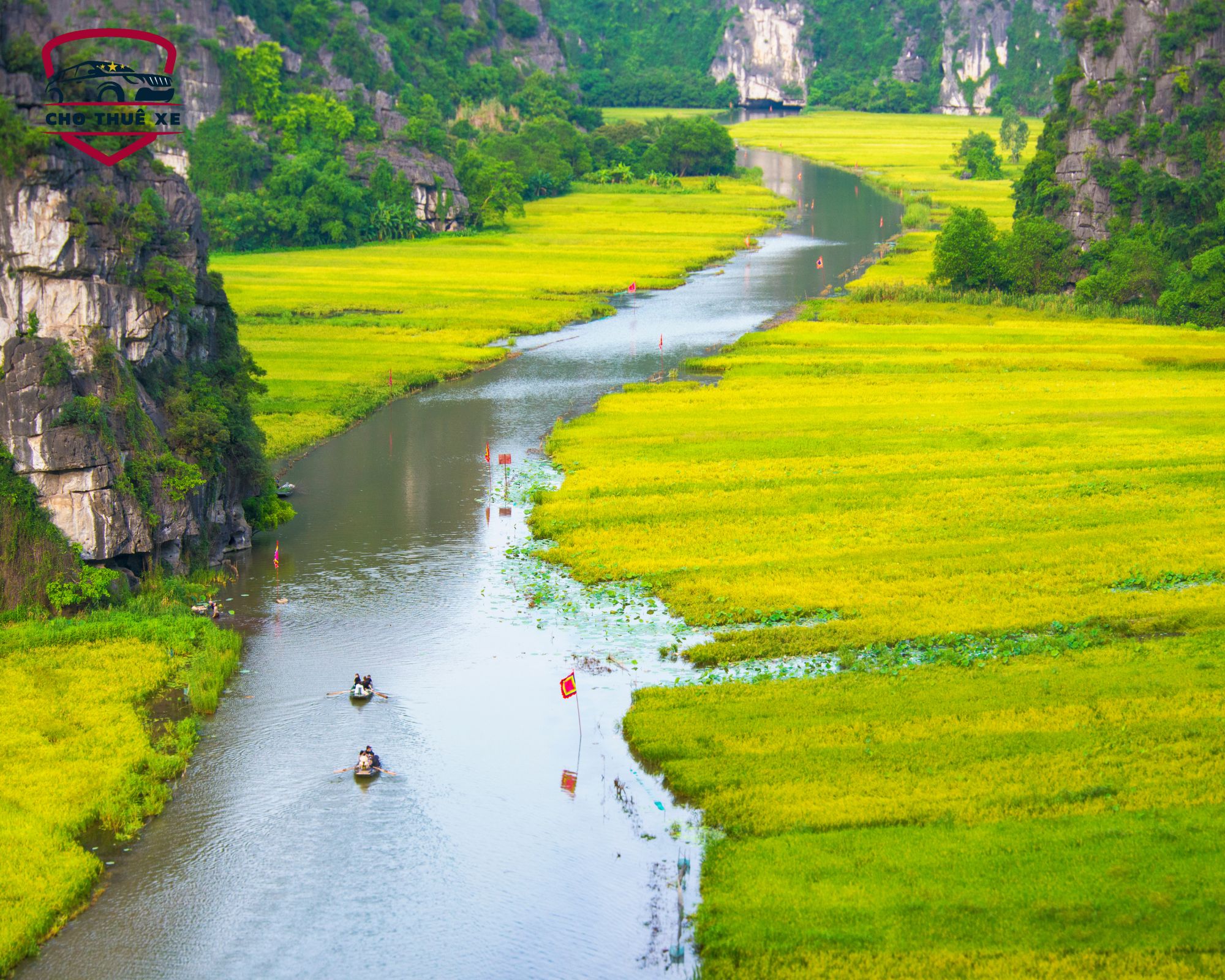 Phong cảnh Tam Cốc Bích Động với thuyền nhỏ trên sông và lúa vàng