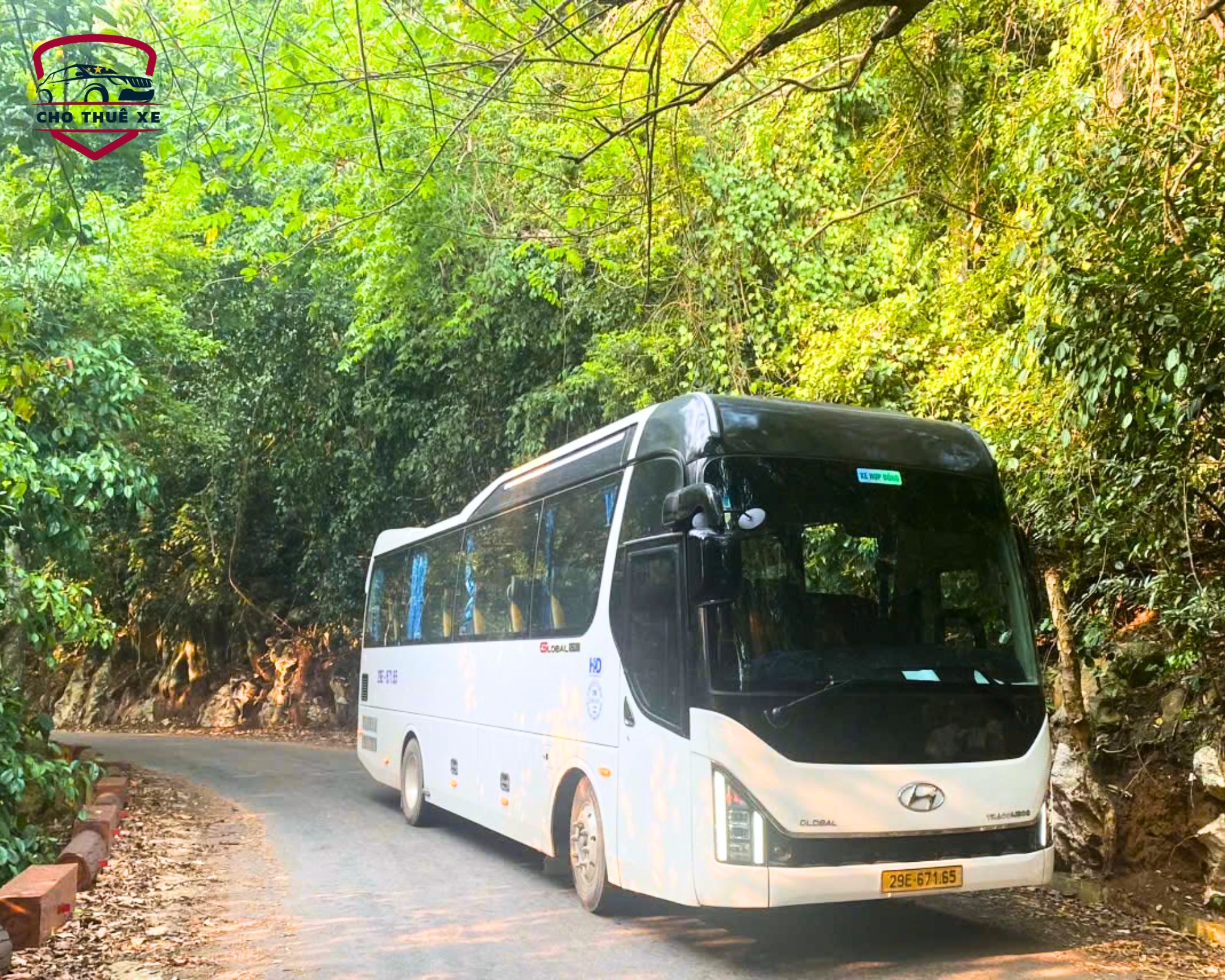 Xe bus 45 chỗ phục vụ thuê xe đi Bắc Hà xuyên rừng cây xanh mát