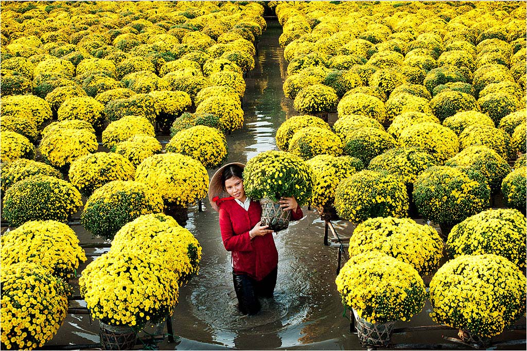 thuê xe Hồ Chí Minh đi Đồng Tháp đừng quên ghé Làng Hoa Sa Đéc