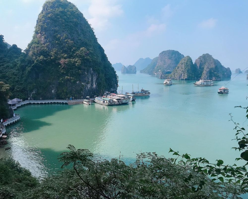 Hạ Long, Quảng Ninh