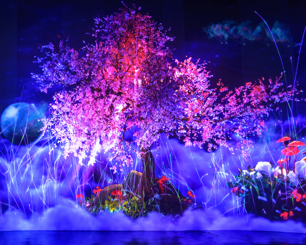Vườn ánh sáng Lumiere thu hút đông đảo du khách