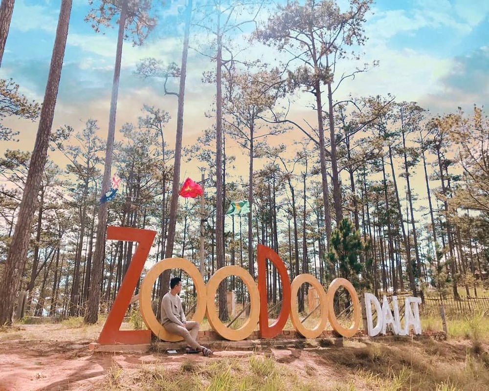 Vườn thú Zoodoo thu hút đông đảo khách du lịch ở mọi lứa tuổi