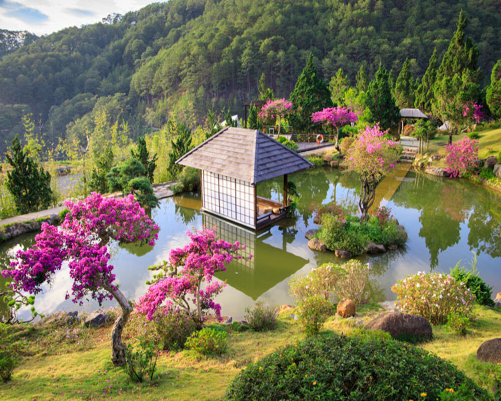 Xu hướng Glamping cắm trại đang ngày càng trở nên phổ biến