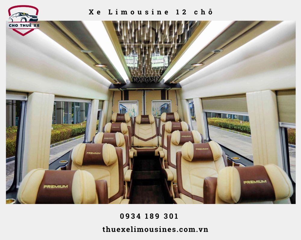 Nội thất xe Limousine 12 chỗ đều là những đồ xịn sò
