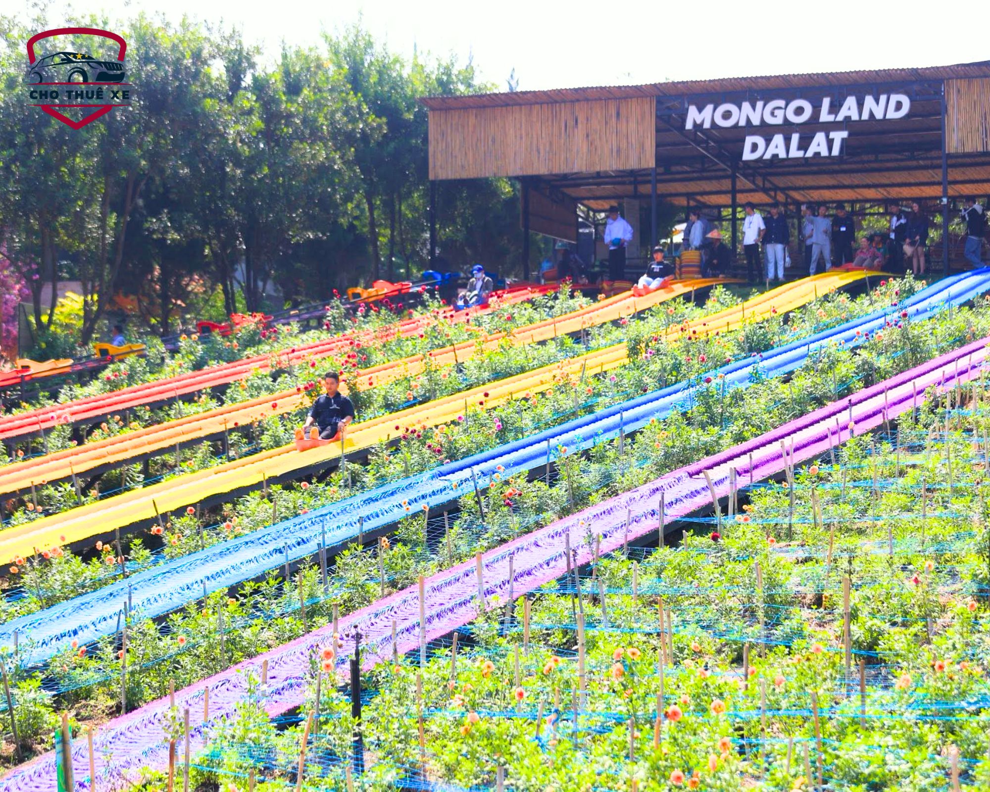 Hệ thống trượt máng đủ sắc màu tại Mongo Land