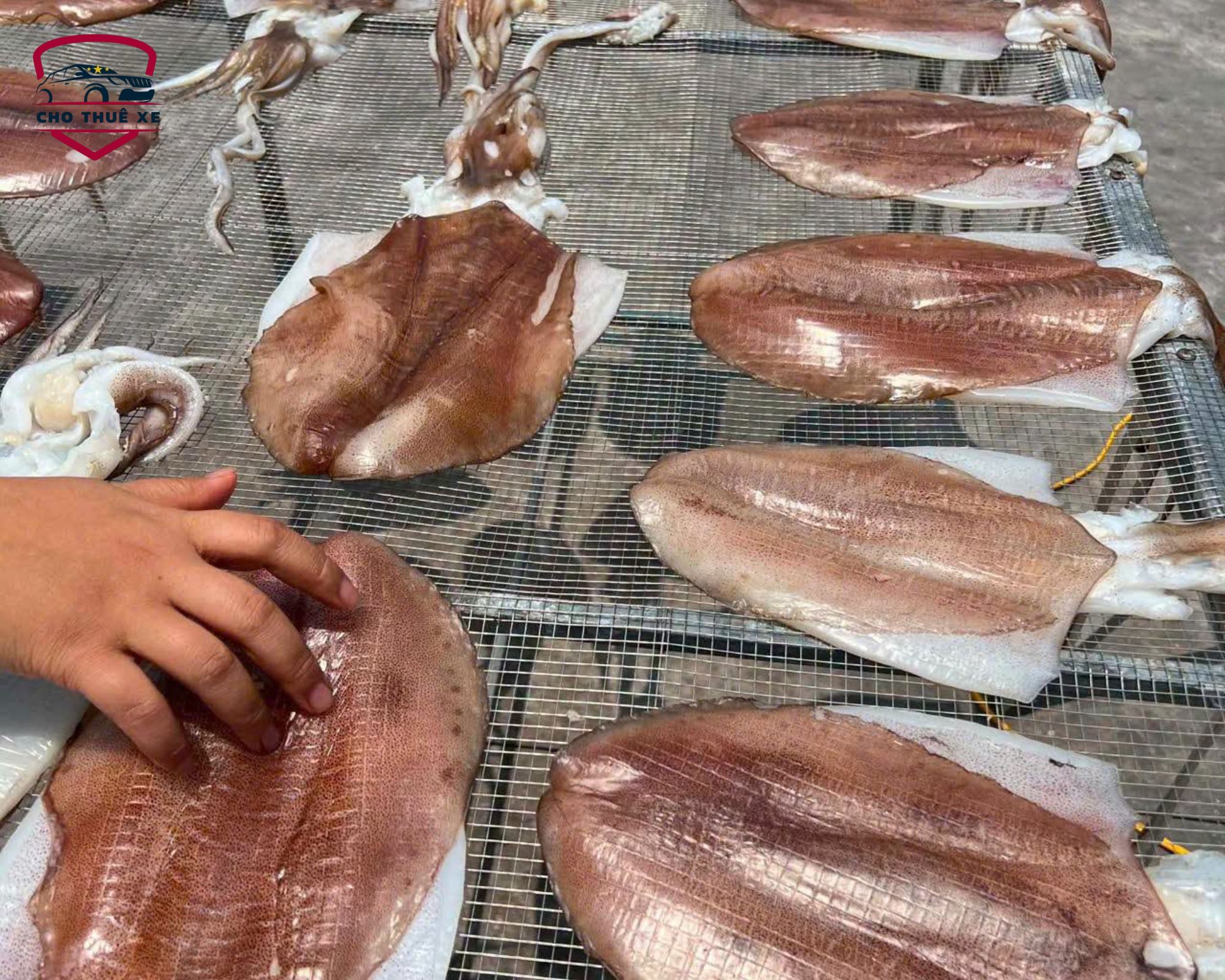 Mực một nắng Nha Trang