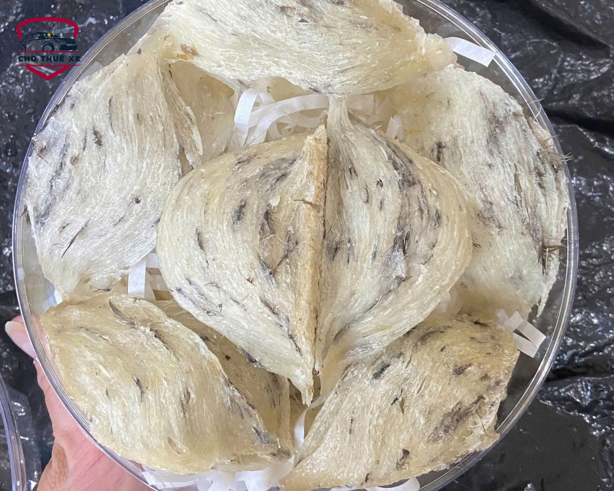 Yến sào Khánh Hòa