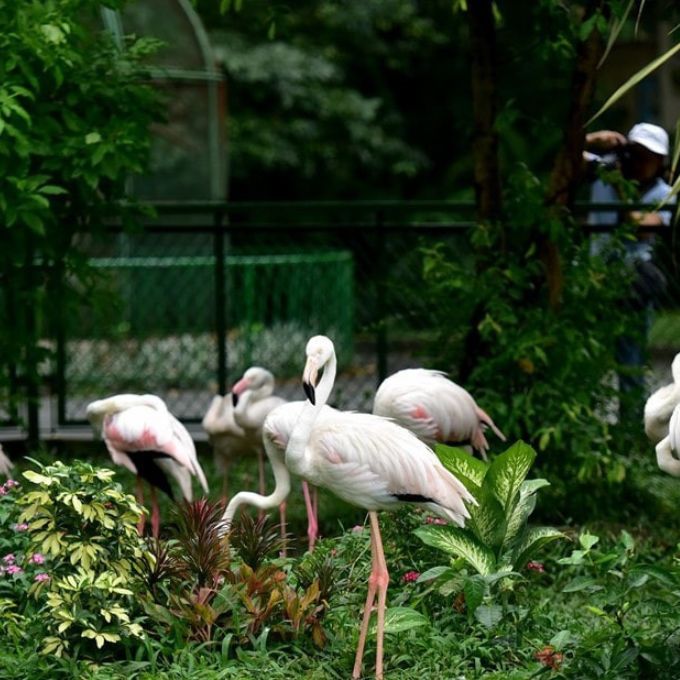 Thảo Cầm Viên Sài Gòn