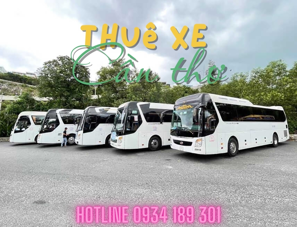 Mẫu xe 45 chỗ cho thuê ở Cần Tho