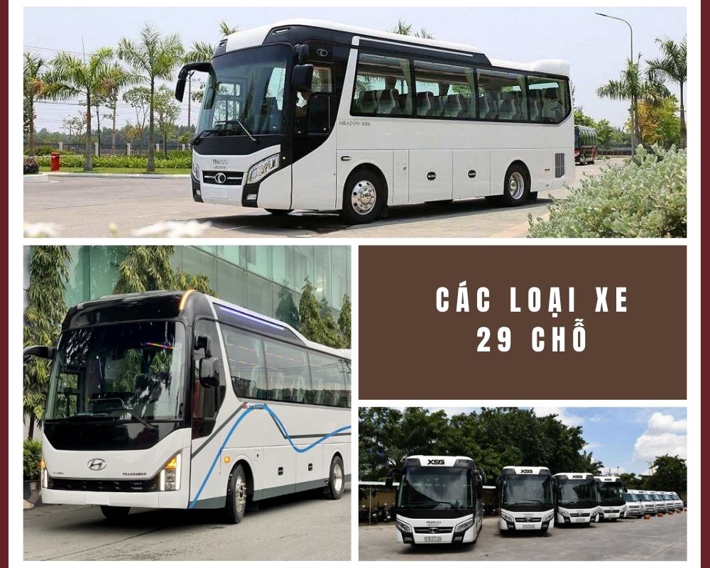 Các loại xe 29 chỗ