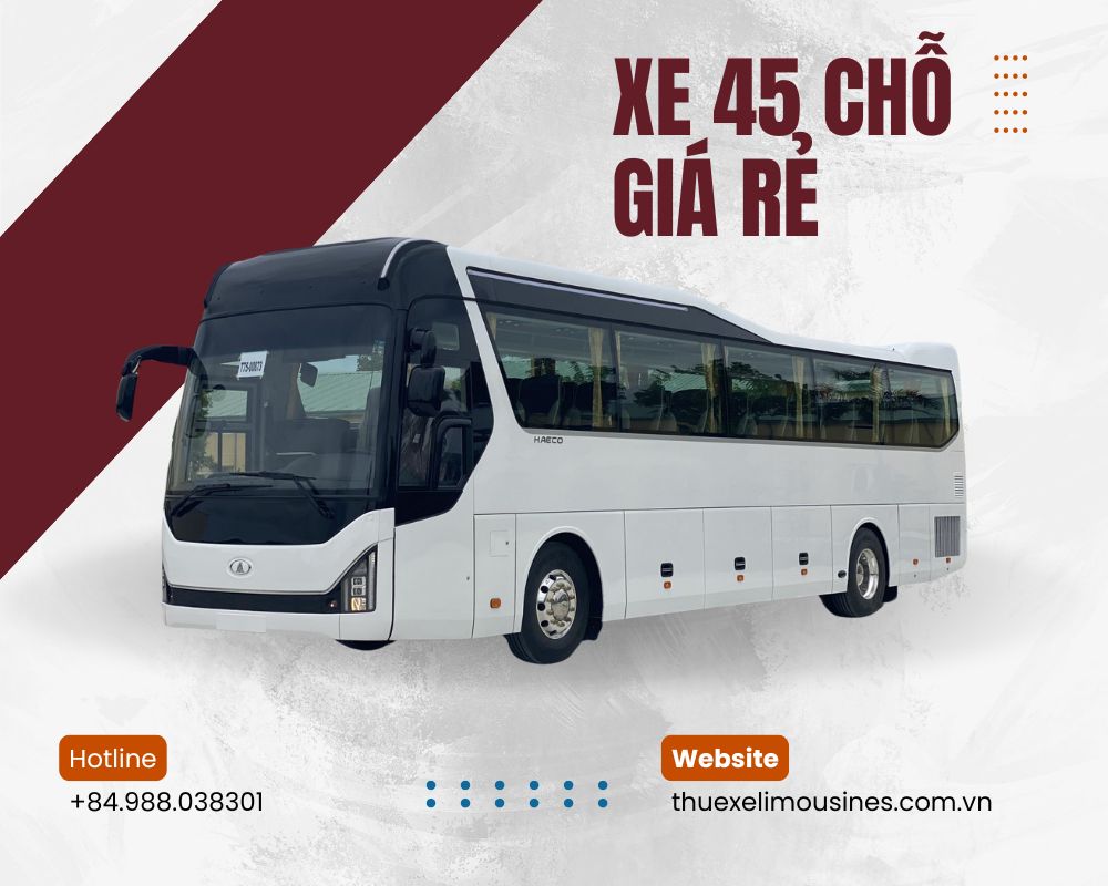 Mẫu xe 45 chỗ giá rẻ