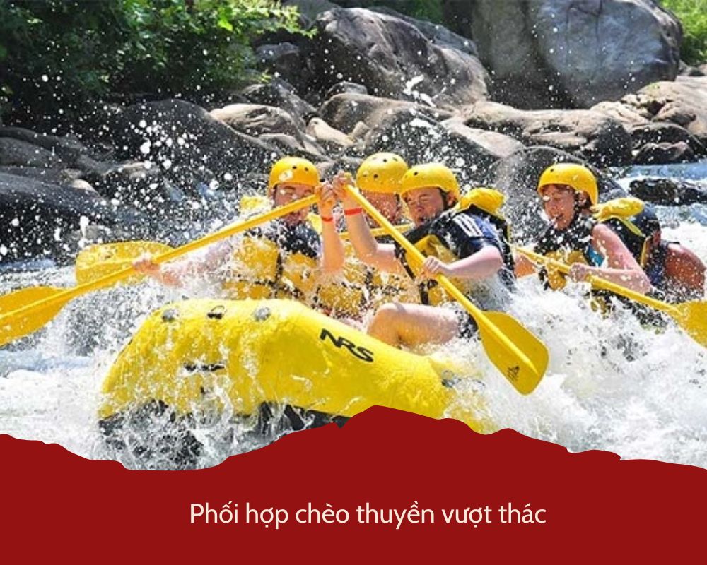Phối hợp chèo thuyền vượt thác