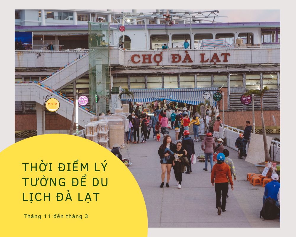 Thời Điểm Lý Tưởng Để Du Lịch Đà Lạt