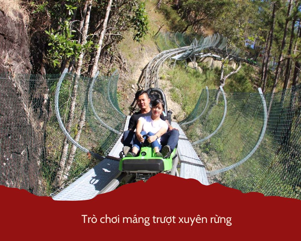 Trò chơi máng trượt xuyên rừng