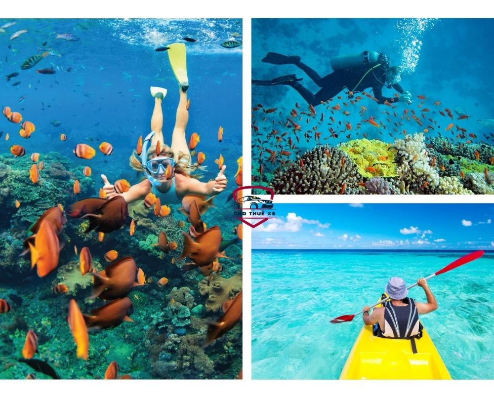 Vinpearl Diving Club