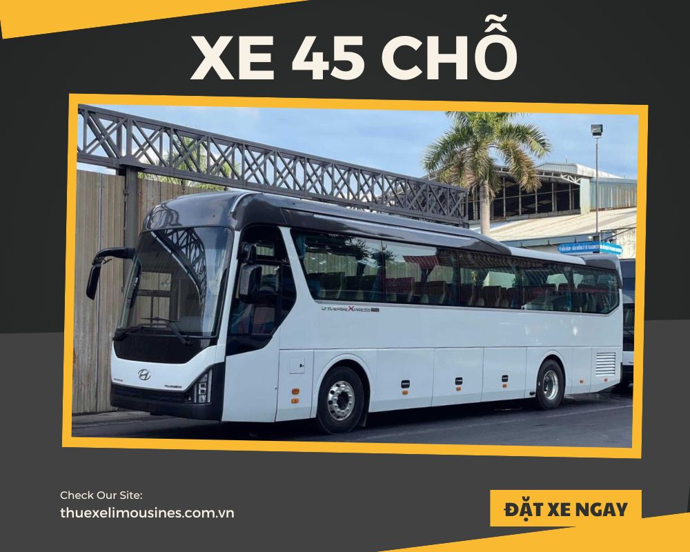 Xe 45 chỗ