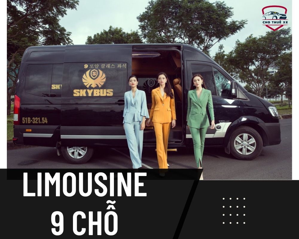 Xe Limousine 9 chỗ