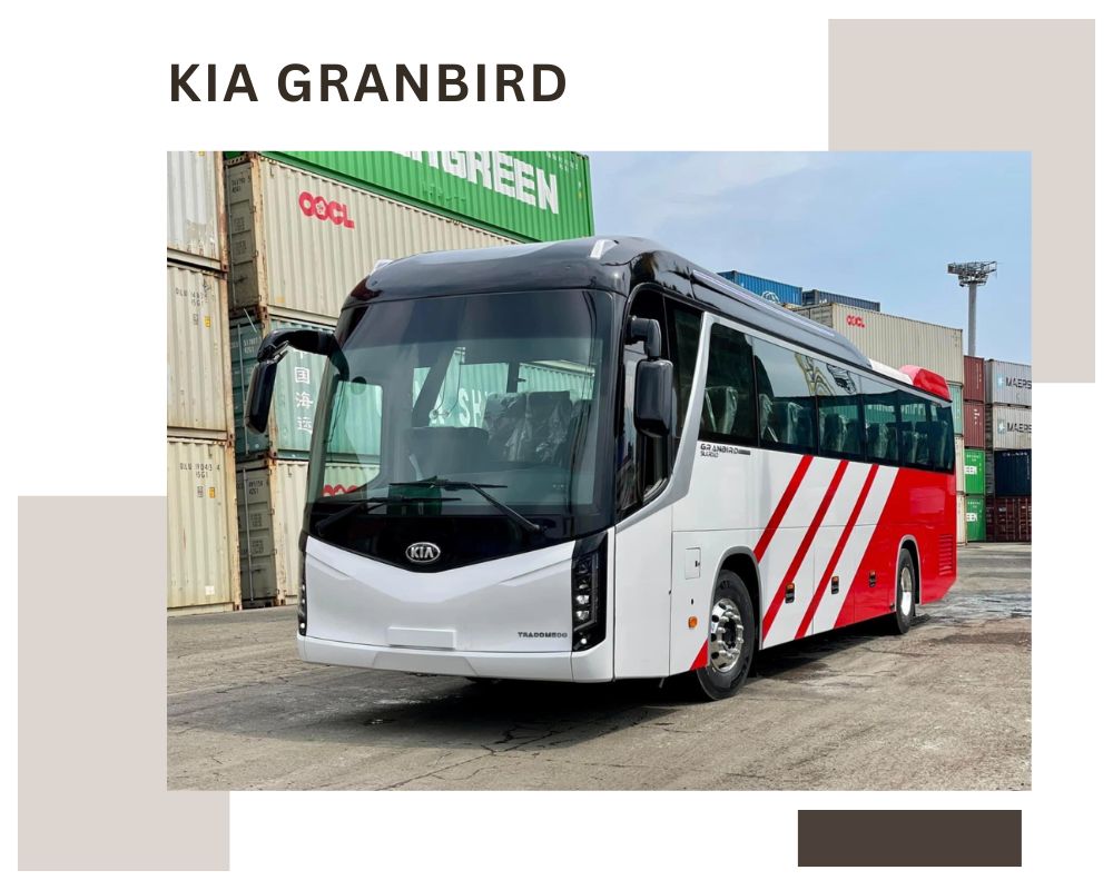 Kia Granbird