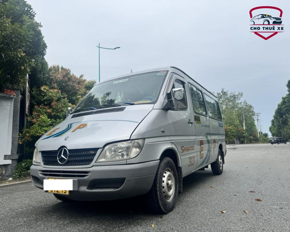 Mercedes Sprinter 313