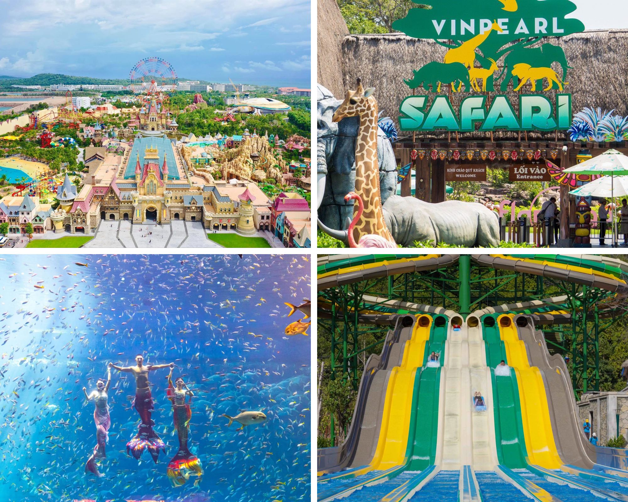 Thỏa sức vui chơi ở VinWonders và chinh phục tour 4 hòn, đừng lo di chuyển khi đã có thuê xe 7 chỗ Phú Quốc
