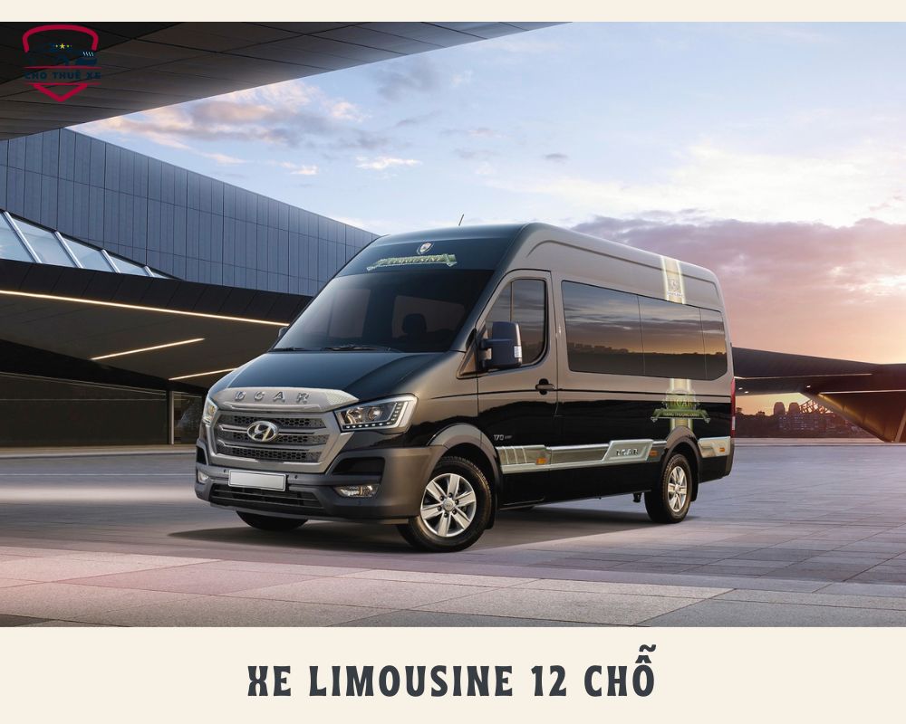 Diện mạo mạnh mẽ của xe Limousine 12 chỗ