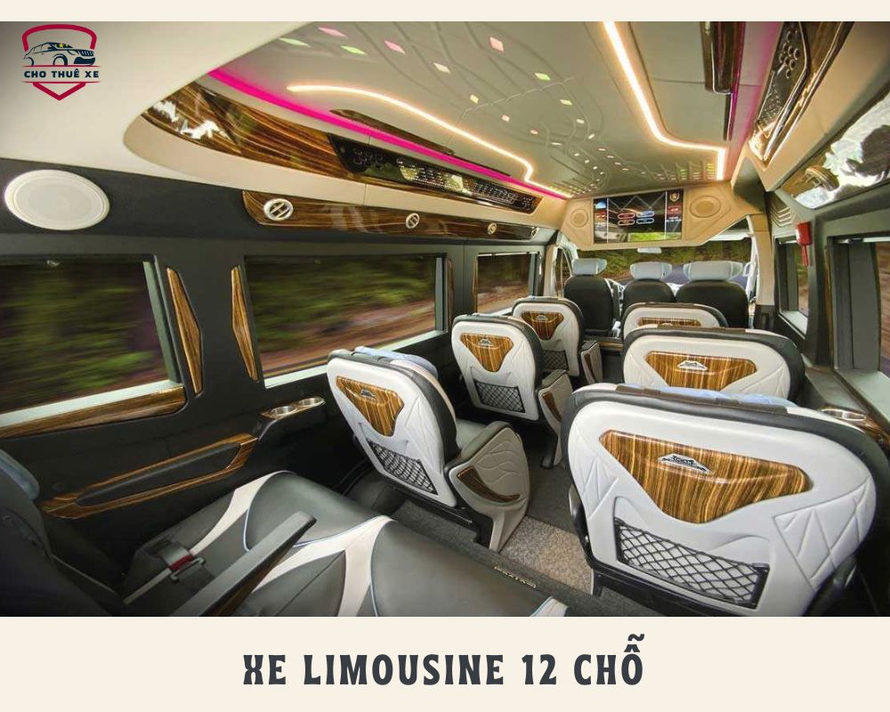 Những trang bị hiện đại và tiện ích của xe Limousine 12 chỗ