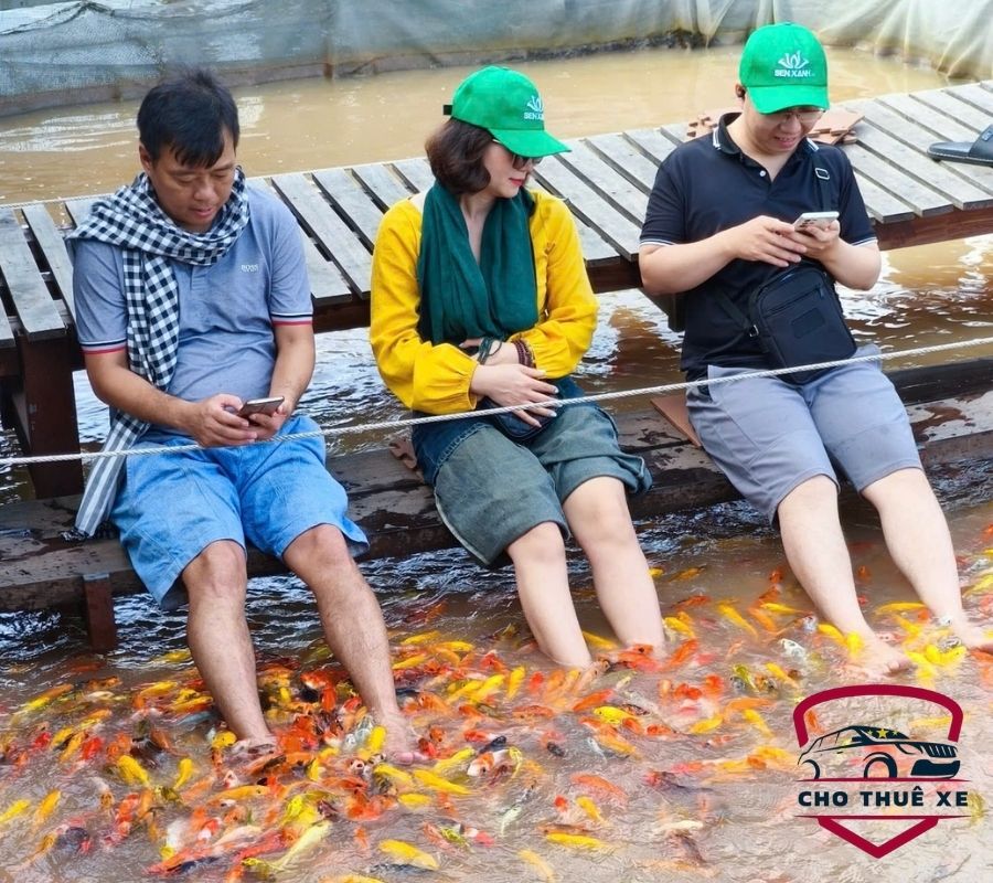 Trải nghiệm massage cá Koi