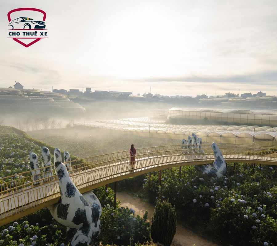 Cánh đồng hoa Cẩm Tú Cầu Đà Lạt - Catuka garden&coffee