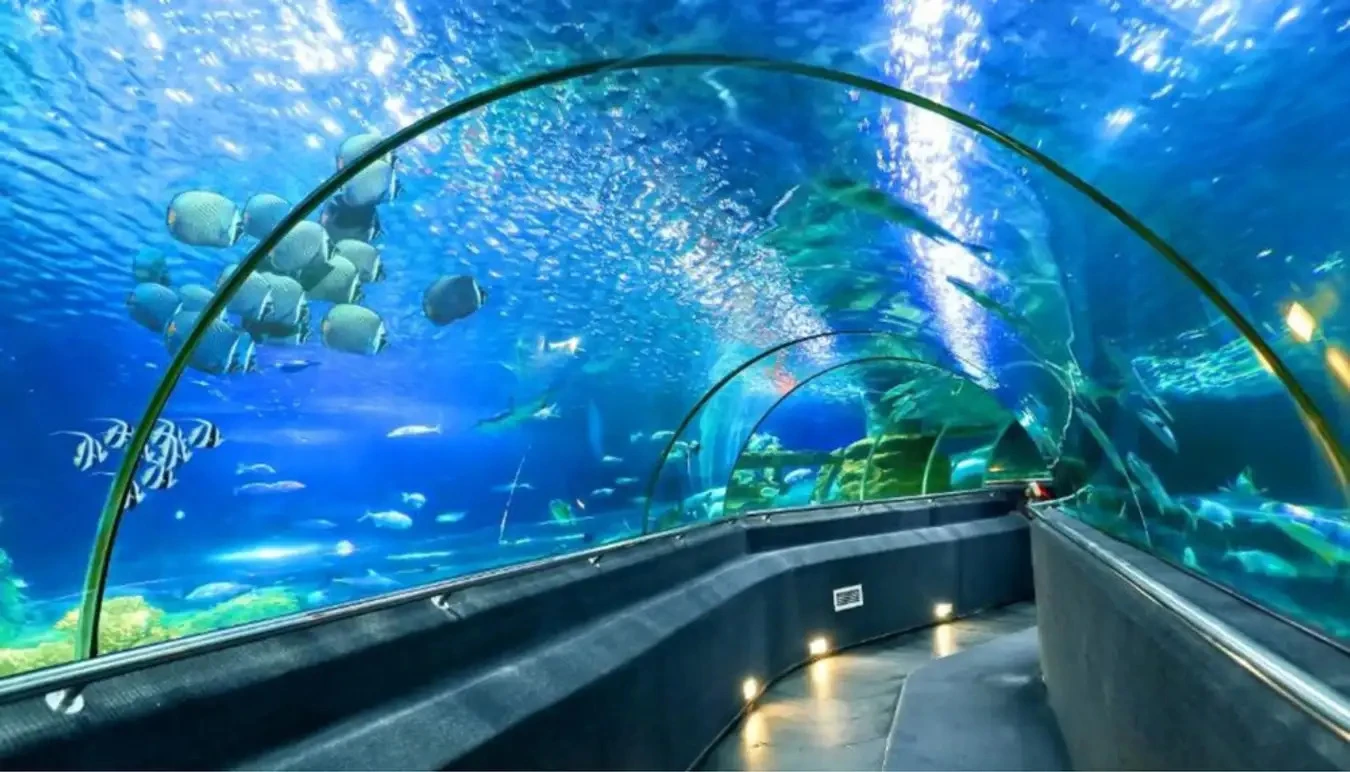 Cho thuê xe 16 chỗ đi Nha Trang tại Sài Gòn Xuân Phát, tham quan đến địa danh nổi tiếng Viện Hải Dương học ở Nha Trang