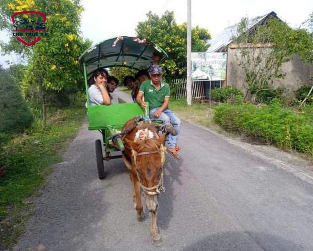 Du khách thích thú ngắm cảnh Mỹ Tho từ một chiếc xe ngựa kéo