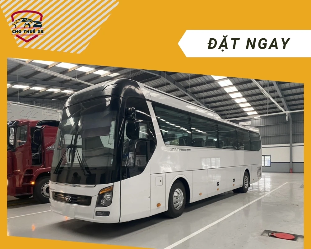 Thuê xe Sài Gòn đi Cà Mau 45 chỗ