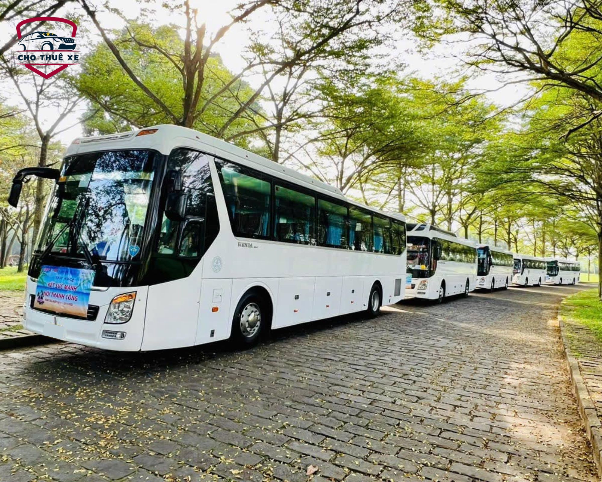 Dàn xe Sài Gòn Xuân Phát phục vụ tour sinh viên thực tập