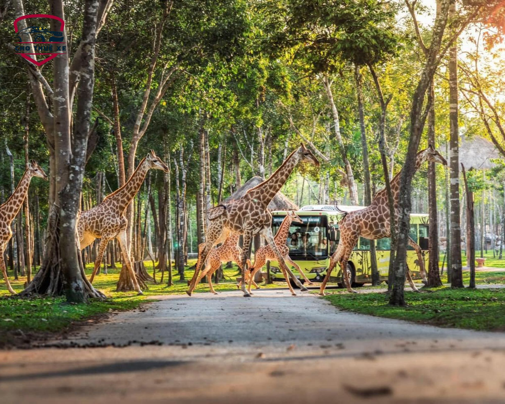 Trải nghiệm gần gũi động vật tại Vinpearl Safari Phú Quốc