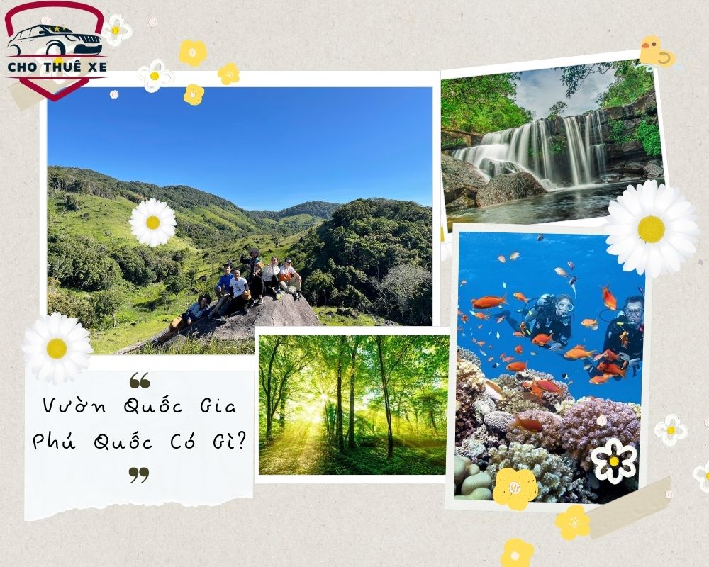 Nếu bạn không biết vườn Quốc Gia Phú Quốc có gì thú vị thì tham khảo ngay 4 địa điểm này