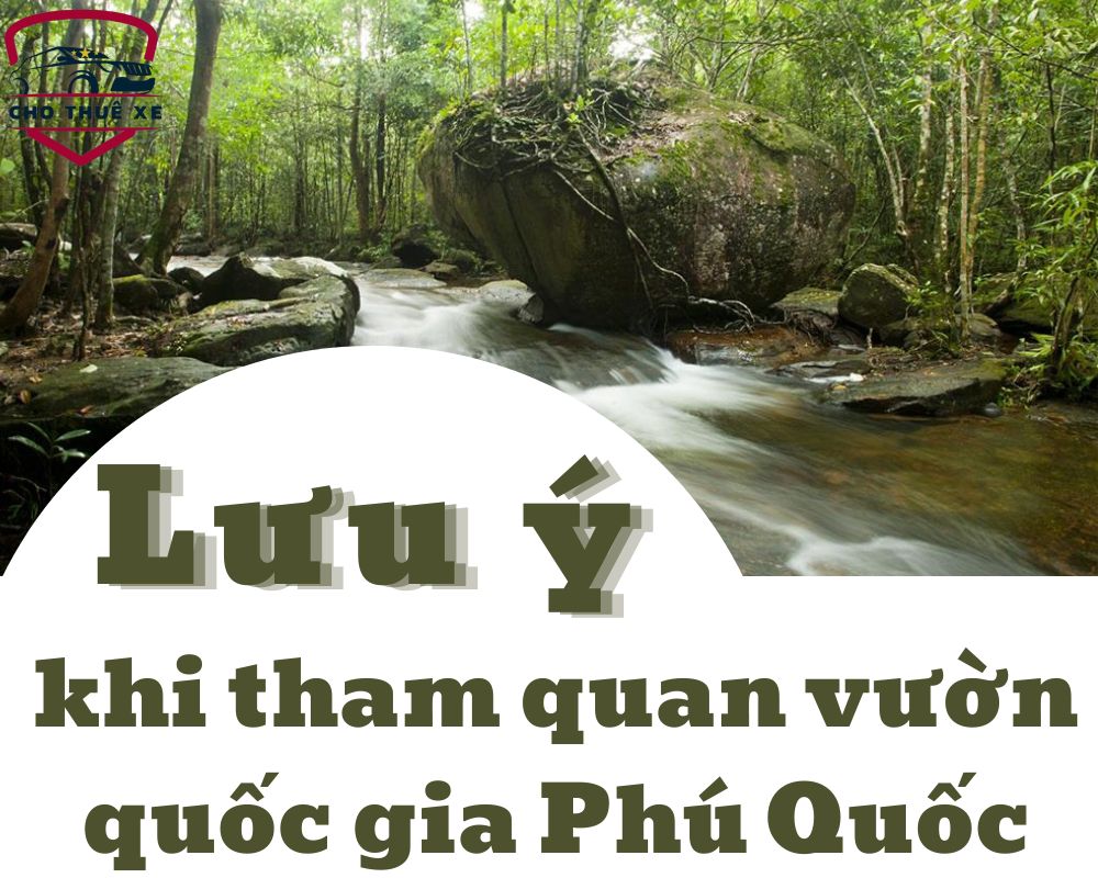 Một vài lưu ý mà bạn cần biết khi tham quan vườn quốc gia ở Phú Quốc