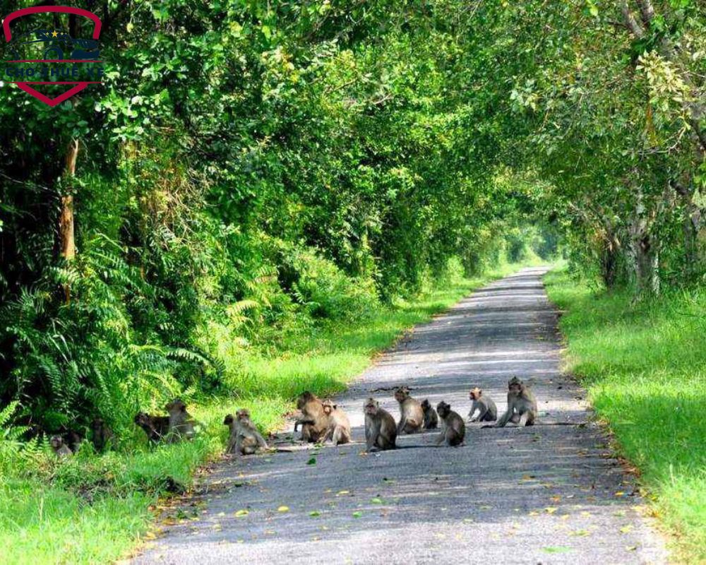 Hệ sinh thái tại đây cực kỳ đa dạng và phong phú, có nhiều loài động thực vật quý hiếm cần được bảo tồn