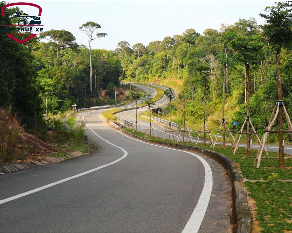 Con đường nhựa uốn lượn dẫn đến chốn rừng xanh xanh thẳm