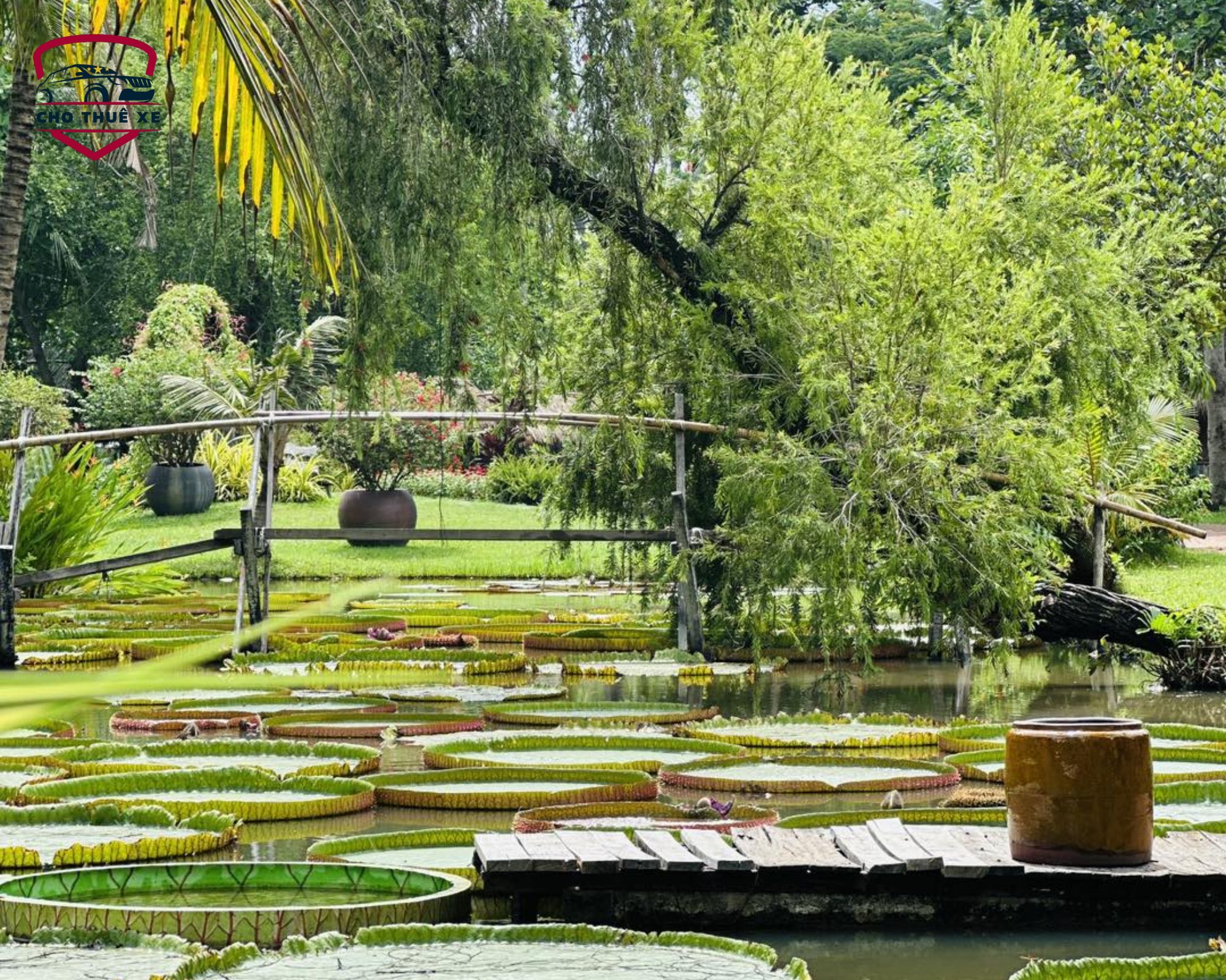 Khu du lịch sinh thái Bình Quới