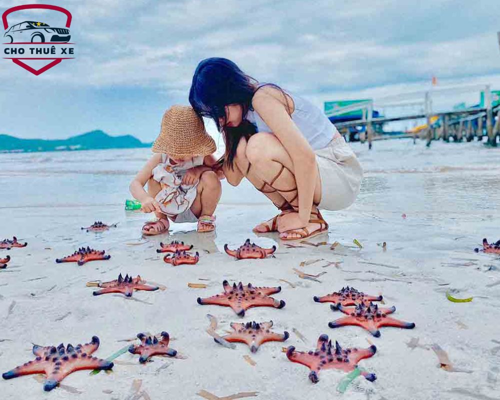 Bãi Rạch Vẹm là một trong các địa điểm cắm trại Phú Quốc sở hữu cảnh đẹp thơ mộng