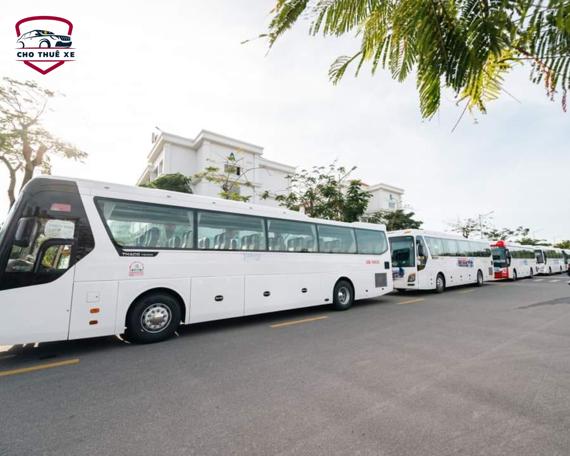 Dàn xe phục vụ Tết hùng hậu, bao gồm nhiều loại xe lớn nhỏ, đáp ứng mọi yêu cầu thuê xe về quê ăn tết