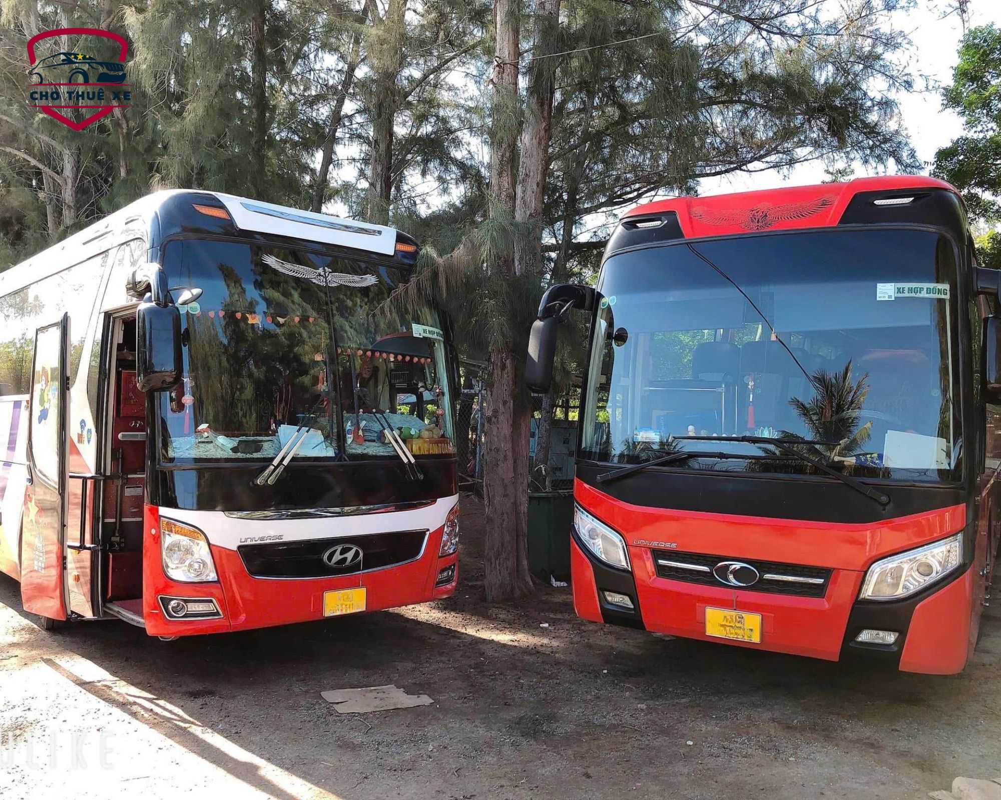 Dịch vụ thuê xe đi Miền Tây trọn gói - Xe 45 chỗ đời mới, lý tưởng cho tour du lịch đoàn thể và công ty