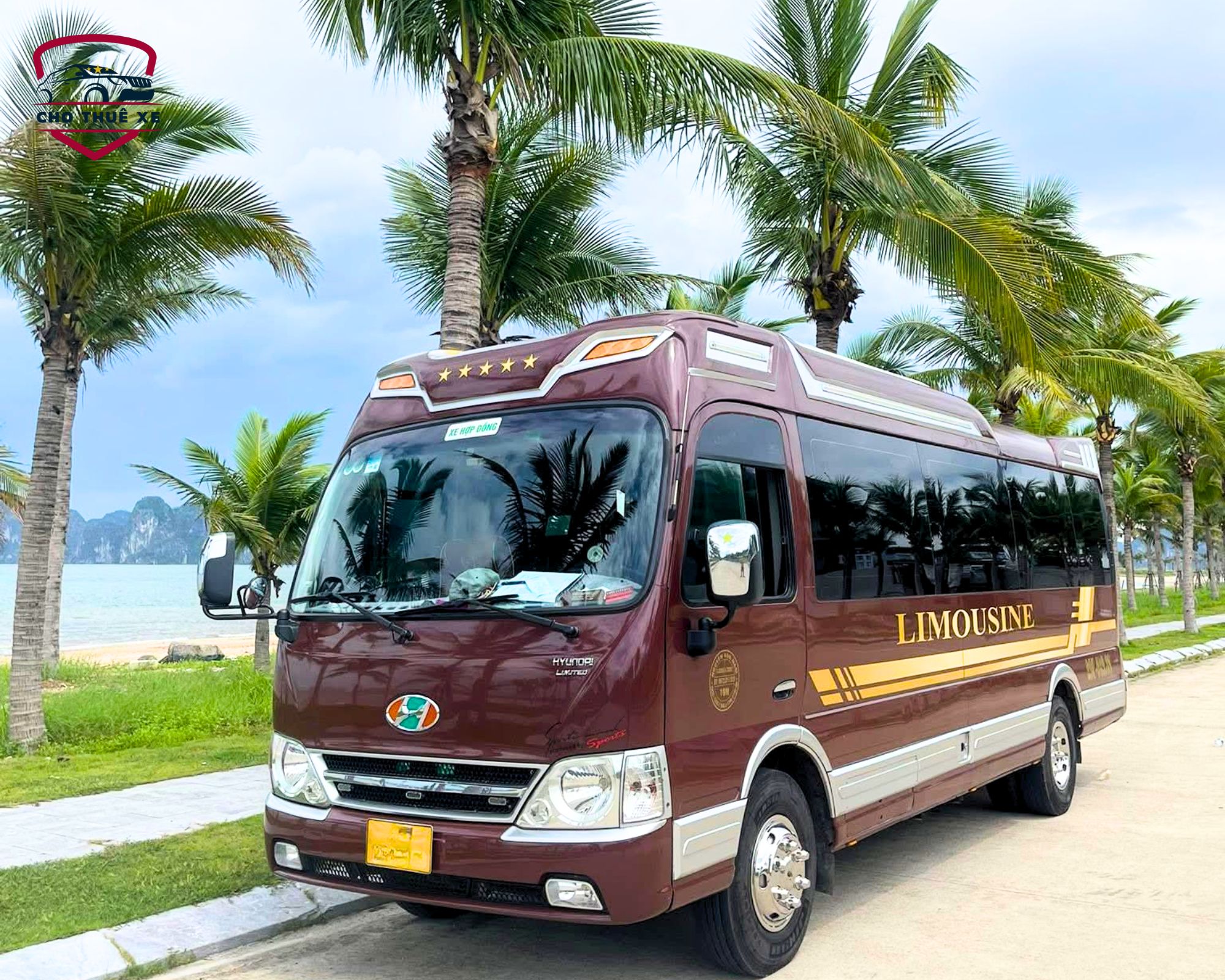 Dịch vụ thuê xe limousine đi Mũi Né, xe 19 chỗ tiện nghi, nội thất được ốp gỗ sang trọng