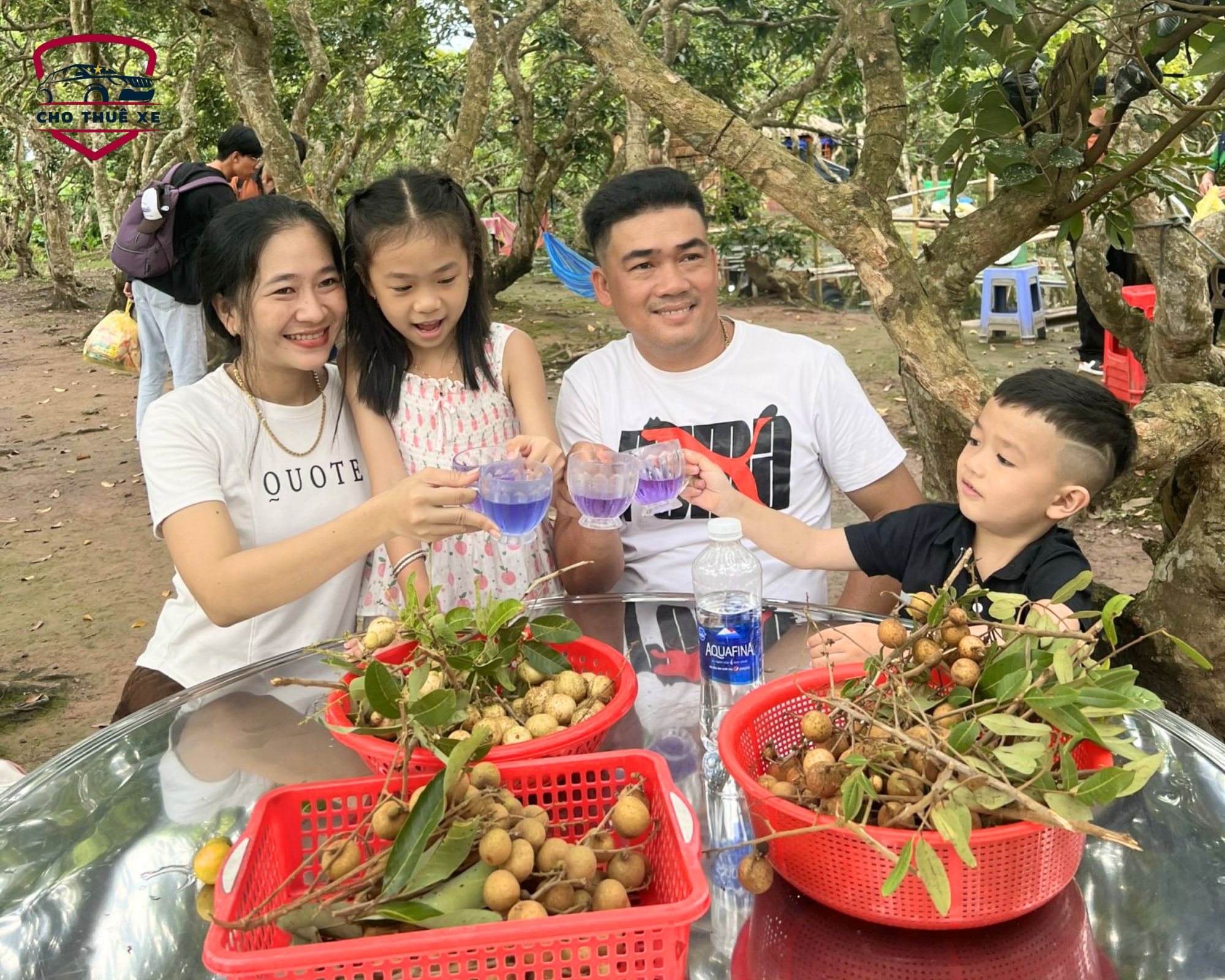 Hình ảnh du lịch gia đình tại vườn cây ăn trái địa phương, tận hưởng khoảnh khắc thư giãn và trái cây tươi