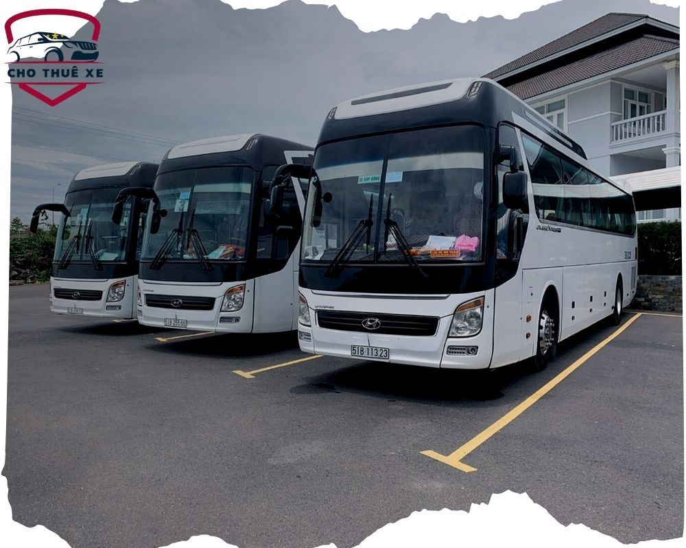 Dàn xe 45 chỗ của công ty Bình Minh
