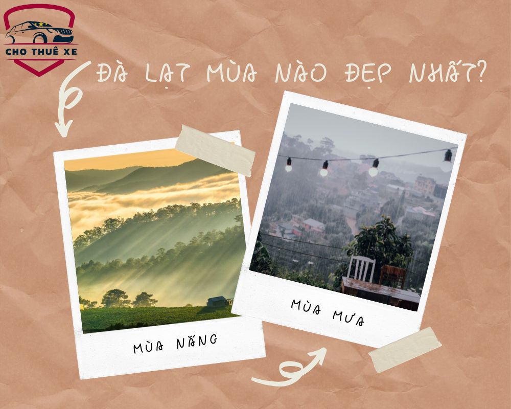 Đà Lạt mùa nào đẹp nhất luôn là nỗi băn khoăn của nhiều người