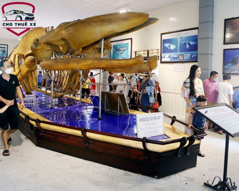 Mô hình xương cá voi tại Viện Hải Dương Học Nha Trang