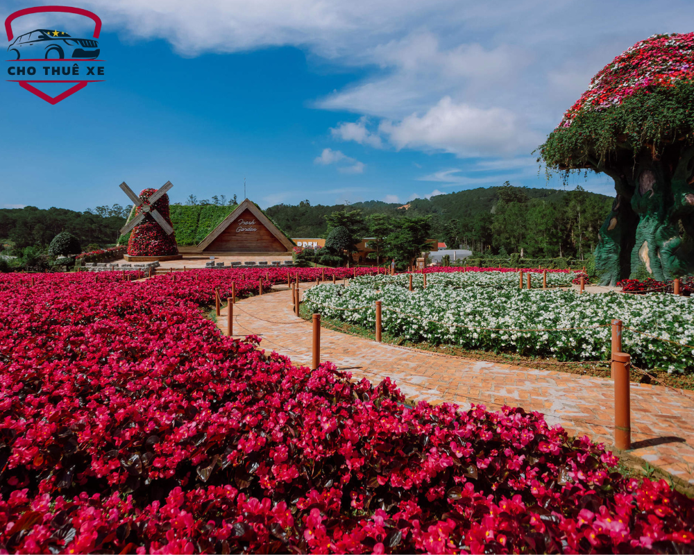 Sắc đỏ tươi sáng tại Fresh Garden Đà Lạt